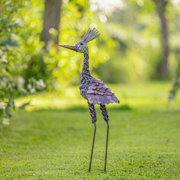 Kroonkraanvogel klein